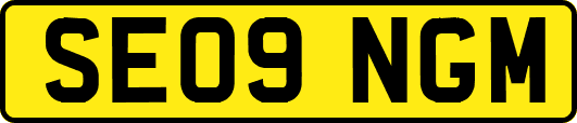 SE09NGM