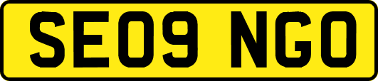 SE09NGO