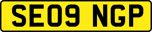 SE09NGP