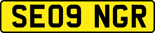 SE09NGR