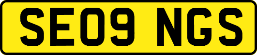 SE09NGS