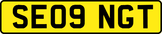 SE09NGT