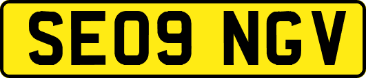SE09NGV