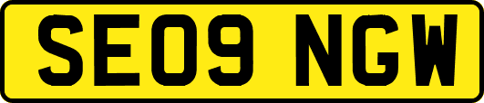 SE09NGW