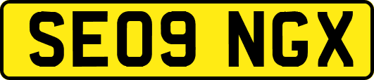 SE09NGX