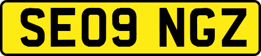 SE09NGZ