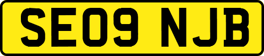 SE09NJB