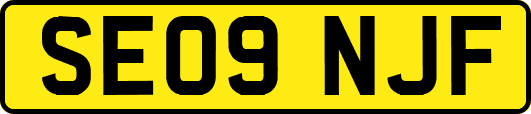 SE09NJF