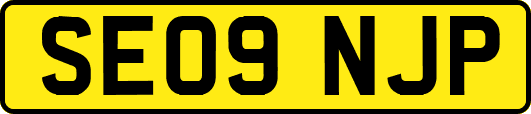 SE09NJP
