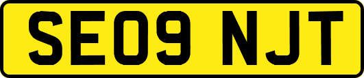 SE09NJT