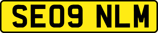 SE09NLM