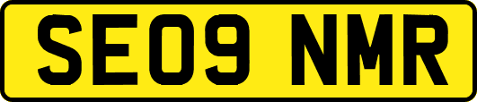 SE09NMR
