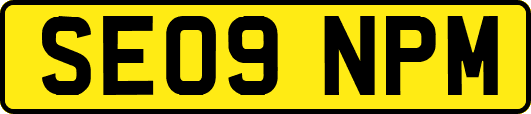 SE09NPM
