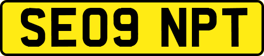 SE09NPT