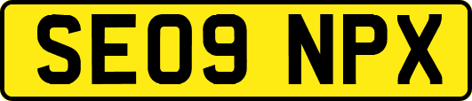 SE09NPX
