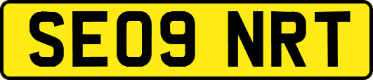 SE09NRT