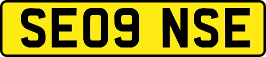 SE09NSE