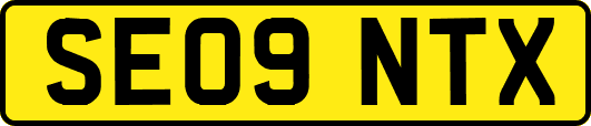 SE09NTX