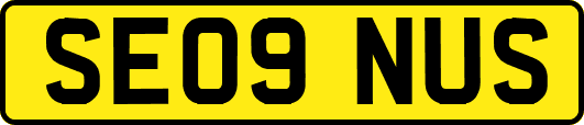 SE09NUS