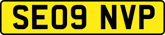SE09NVP