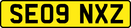 SE09NXZ