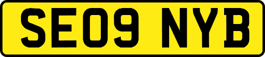 SE09NYB