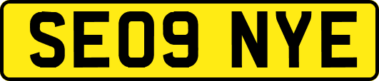 SE09NYE
