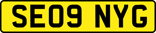 SE09NYG