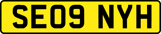 SE09NYH