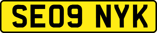 SE09NYK