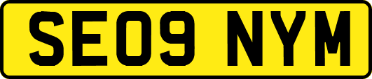 SE09NYM