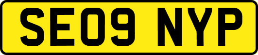SE09NYP