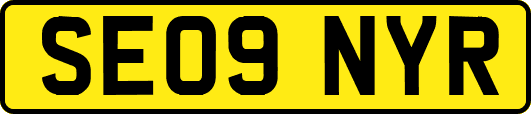 SE09NYR