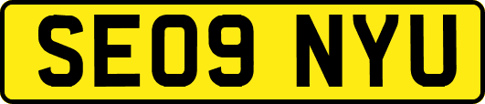 SE09NYU