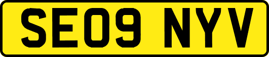 SE09NYV