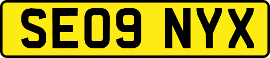 SE09NYX
