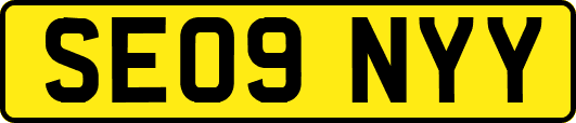SE09NYY