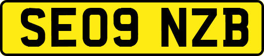 SE09NZB