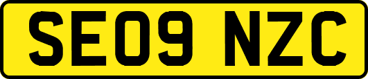 SE09NZC