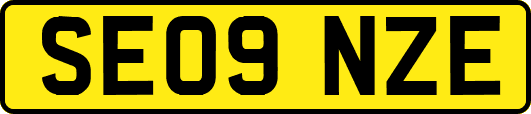 SE09NZE