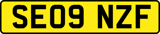 SE09NZF