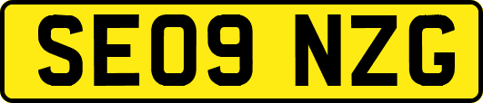 SE09NZG