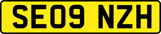 SE09NZH