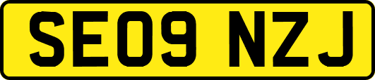 SE09NZJ