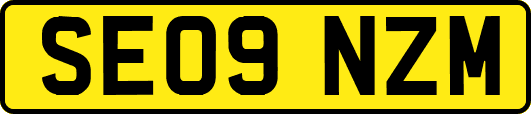 SE09NZM