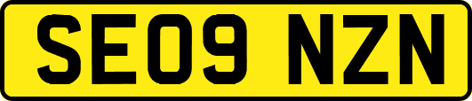 SE09NZN