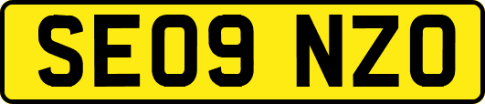 SE09NZO