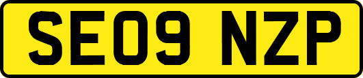 SE09NZP