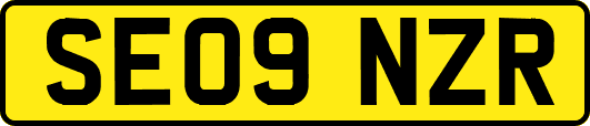 SE09NZR