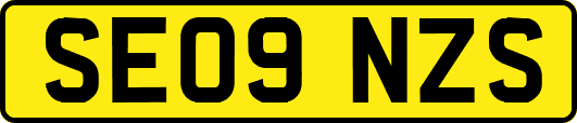 SE09NZS